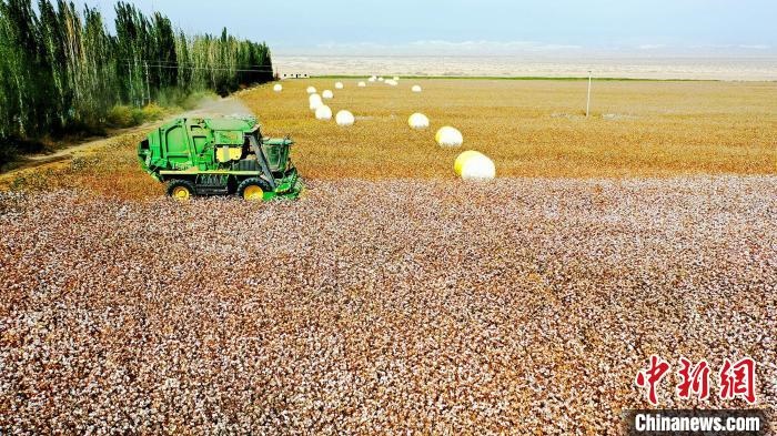 近年來，當?shù)孛藁ǚN植戶的生產(chǎn)生活發(fā)生了翻天覆地的變化?！《?攝