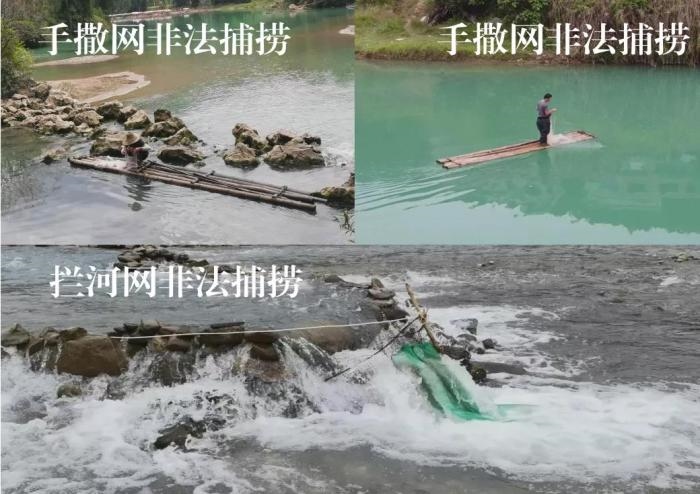 2021年9—10月，前期暗查發(fā)現(xiàn)，保護(hù)區(qū)核心區(qū)內(nèi)非法捕撈行為十分猖獗