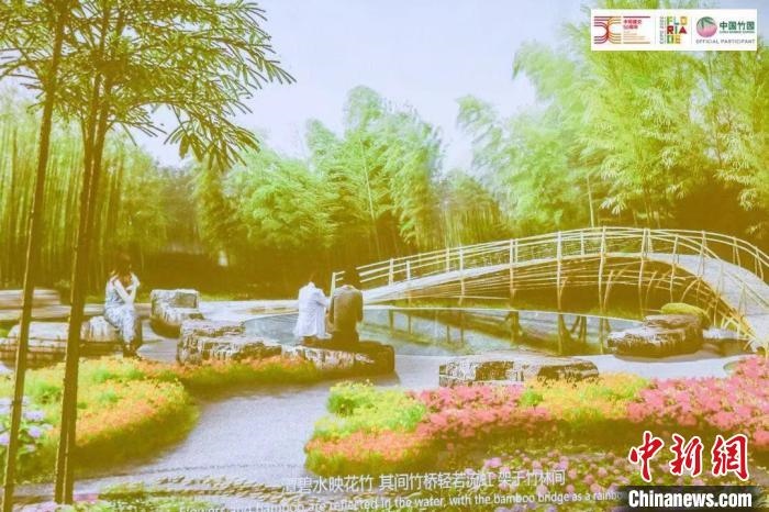 圖為活動現(xiàn)場通過視頻展示“中國竹園”設(shè)計方案。　荷蘭駐華大使館供圖