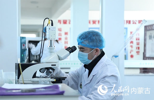 內(nèi)蒙古中農(nóng)興安種牛科技有限公司落戶科右中旗，為肉牛產(chǎn)業(yè)發(fā)展提供了優(yōu)質(zhì)的種源保障。白俊華攝