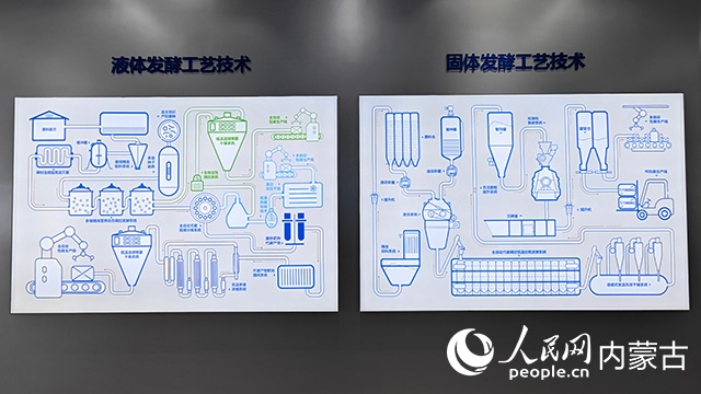 科拓生物工藝技術(shù)展示。人民網(wǎng)記者 張雪冬攝