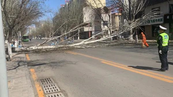 1587428261145607.jpg 微信圖片_20200421081602.jpg