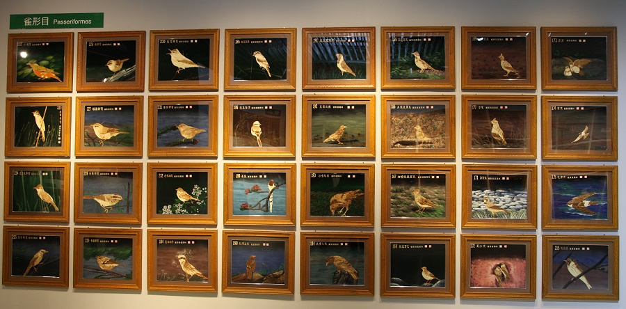 1608295394836599.png 1608278613801401.png