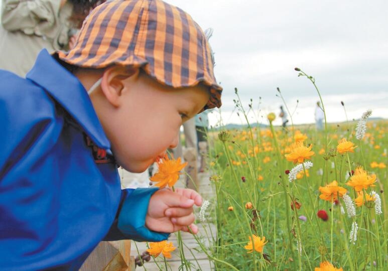 1627870892270792.jpg 00300501700_b8af5cd3.jpg