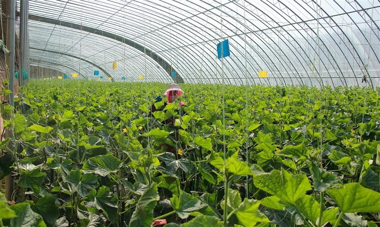 1663126942288269.jpg 00300585561_d57bdbf1.jpg