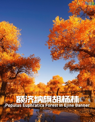 1695824470166231.png 圖片18.png