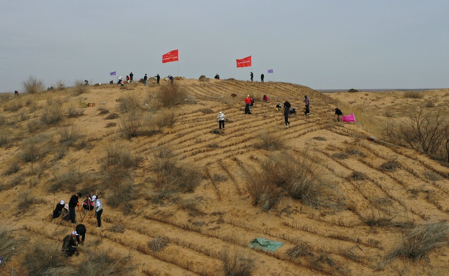 1711449447452694.jpg 20240326183105.jpg