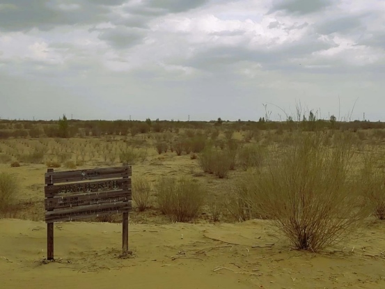 1713783489754992.png 第55個(gè)世界地球日529.png