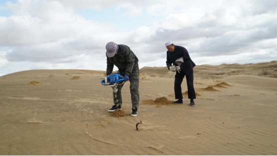 1713783590131857.png 第55個(gè)世界地球日1130.png