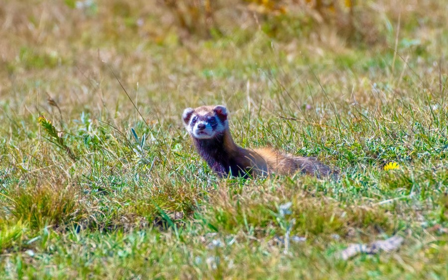 1718507645979145.jpg 微信圖片_20240616110153.jpg