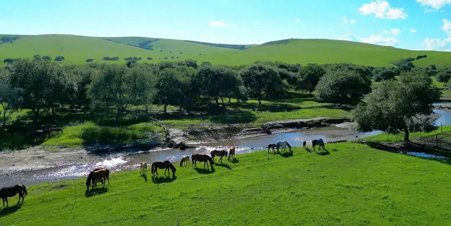 1721030294547665.jpg 640 (2).jpg