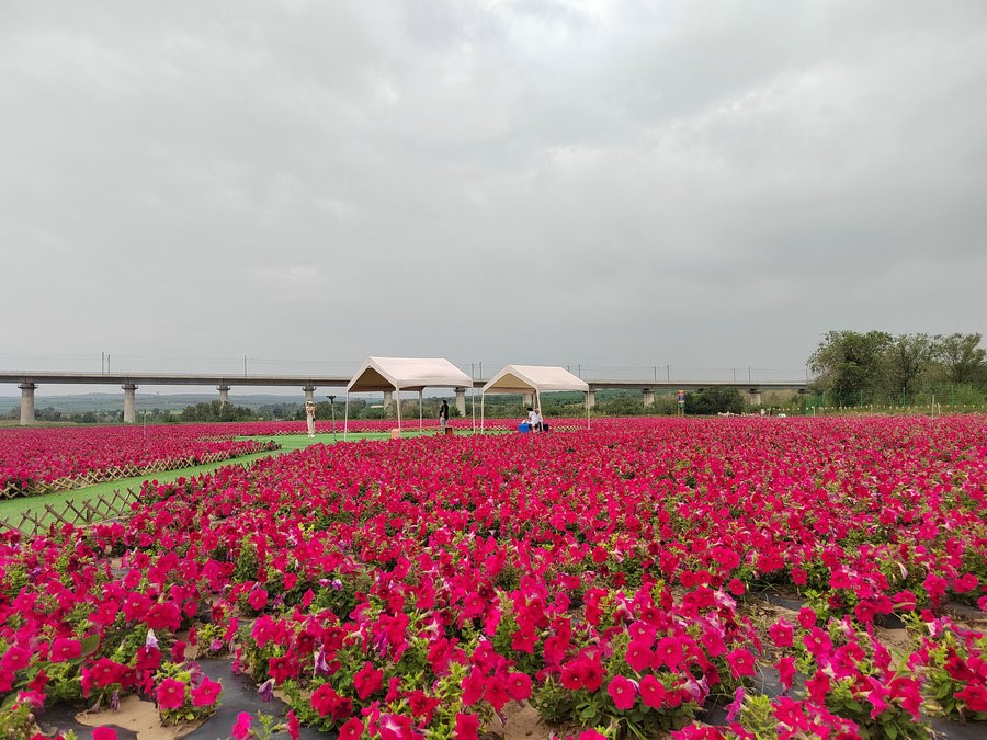 1722304367150266.jpg _K4I9674.JPG