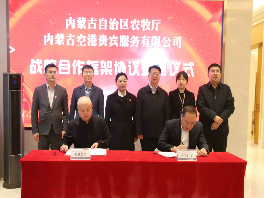 1733757497662646.jpg 4.jpg