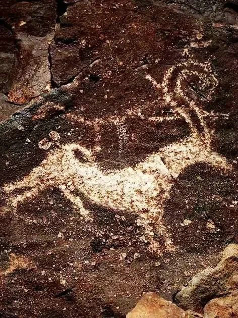 1735286093111805.jpg 2A3A3186.JPG