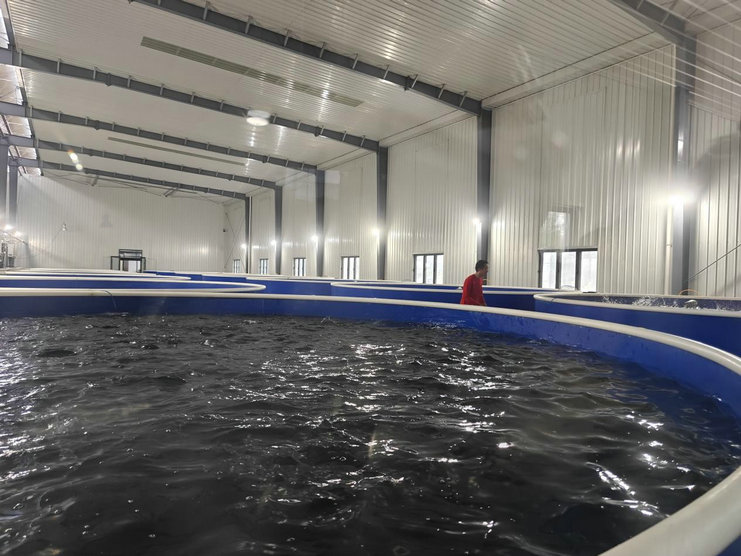 1744420958857494.jpg 農(nóng)業(yè)4.jpg