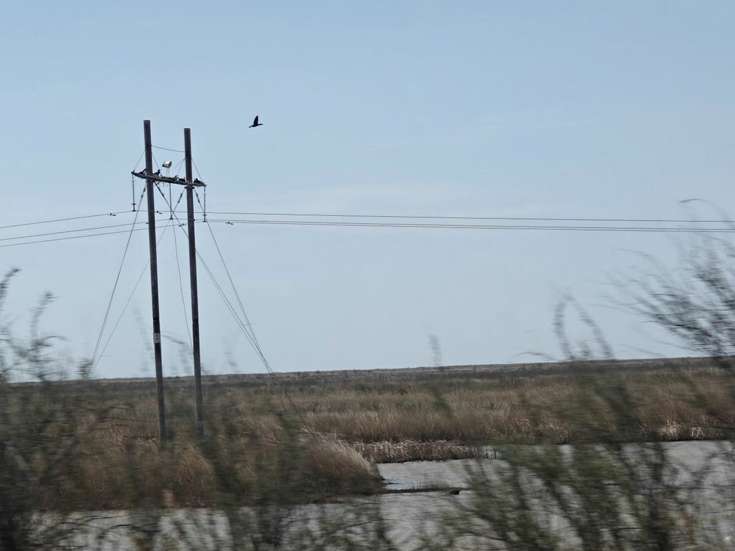 1744852609358024.jpg 東營5.jpg