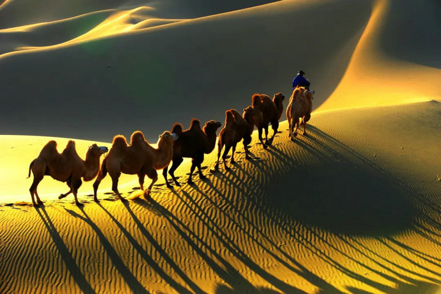 1751685642168641.jpg 640 (23).jpg