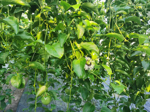 1751851537427262.jpg 生態(tài)3.jpg