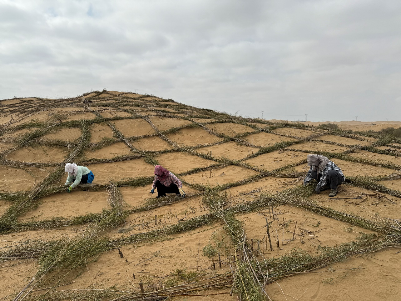 1757917333781198.png 圖片3.png