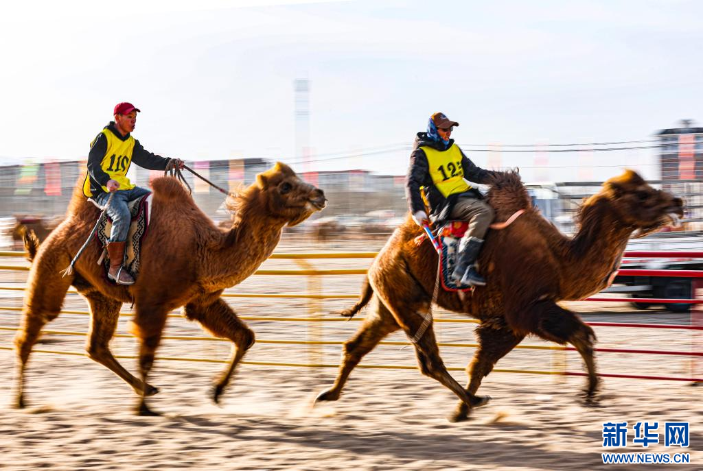 3月7日，賽駝手在6000米成年駱駝場(chǎng)地速度賽比賽中.jpg