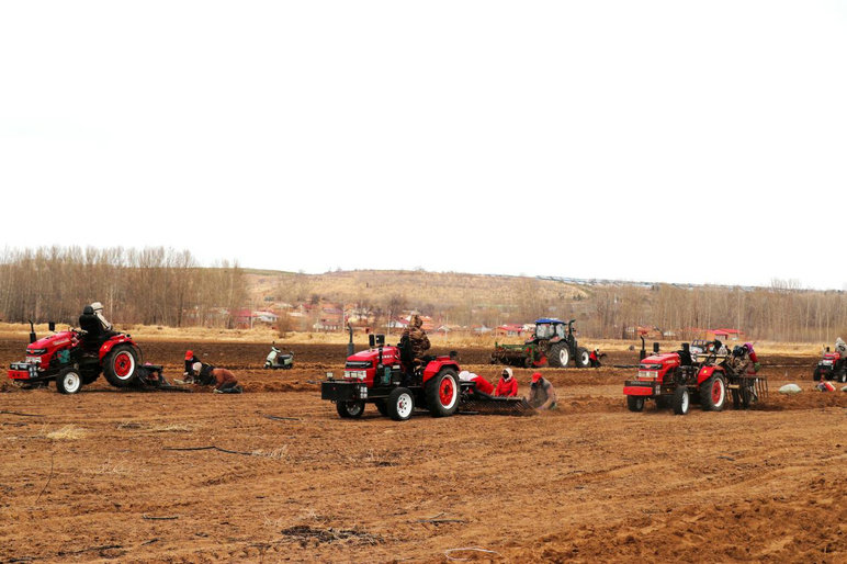 1774942551245410.jpg 藥材1.jpg