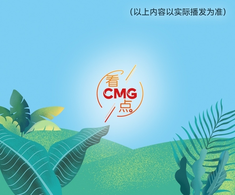 總臺(tái)周看點(diǎn)，來了！