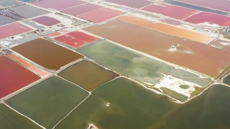 鑒往知來，跟著總書記學歷史丨走進一座博物館，尋根五千年中華文明