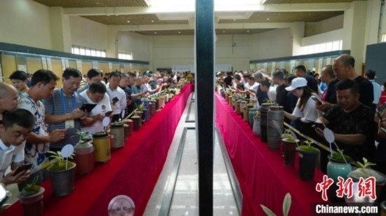 圖為活動現(xiàn)場。 云南省委臺辦供圖