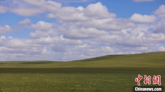 圖為點(diǎn)點(diǎn)新綠在原野上蓄勢(shì)待發(fā)。 歐戈 攝