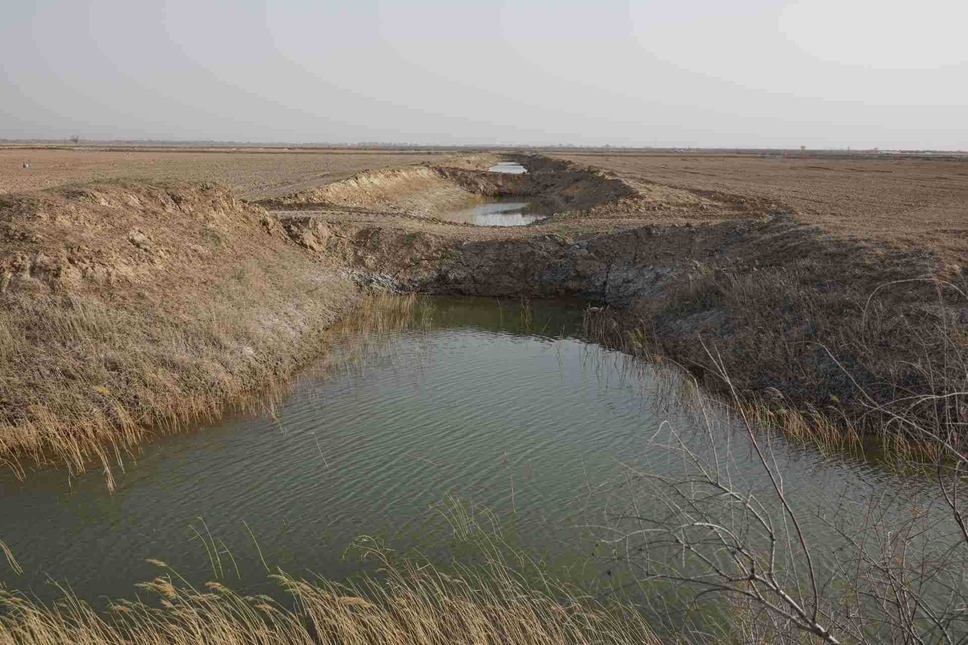 堵塞的排堿渠。 人民網記者 游天燚攝