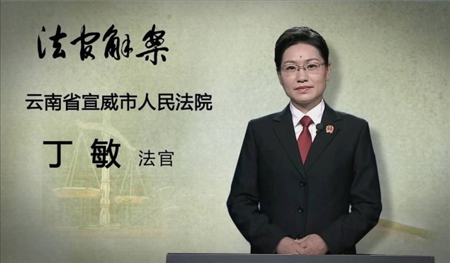 【主講人】丁敏(云南省宣威市人民法院 法官)