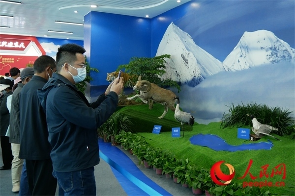 6月17日，觀眾正在觀展。人民網(wǎng) 韋衍行攝