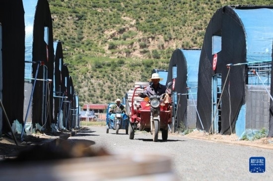 7月29日，農(nóng)戶在卓尼縣納浪鎮(zhèn)納浪村黑木耳種植基地勞作。