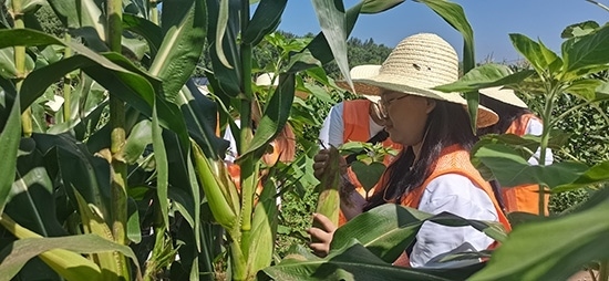 北京工商大學(xué)組織學(xué)生開展暑期社會(huì)實(shí)踐。學(xué)校供圖