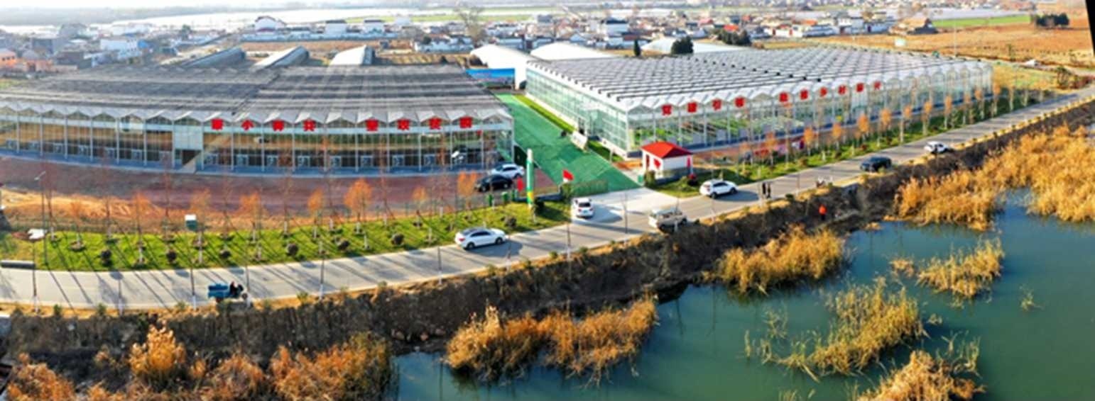 白樓灣三產(chǎn)融合發(fā)展。宋道森攝