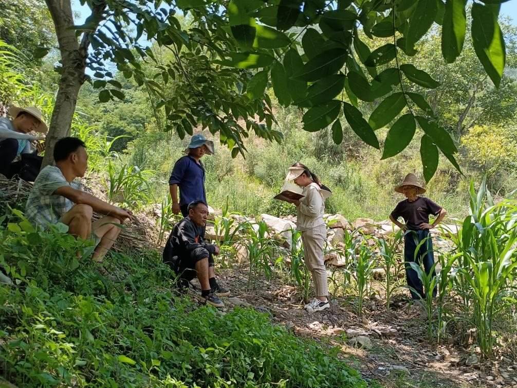 2023年7月18日，兩家村民發(fā)生土地方面的糾紛，李江女（右二）在記錄情況。受訪者供圖