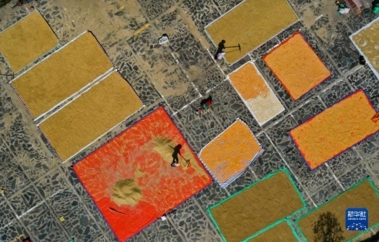 9月16日，貴州省黔東南苗族侗族自治州丹寨縣南皋鄉(xiāng)石橋村村民在晾曬農(nóng)作物（無人機照片）。
