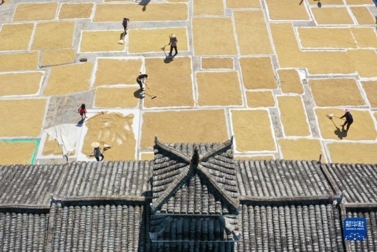 9月16日，村民在貴州省黔東南苗族侗族自治州從江縣剛邊壯族鄉(xiāng)三聯(lián)村晾曬稻谷（無人機照片）。