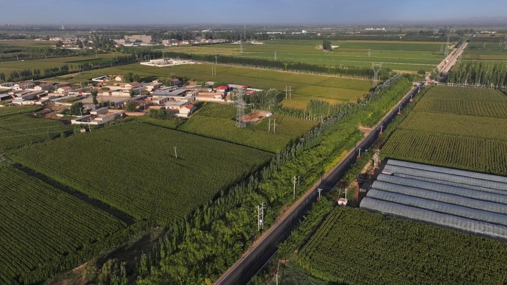 東興村周邊建起防護林網(wǎng)（無人機照片，2023年9月12日攝）。新華社記者李云平 攝