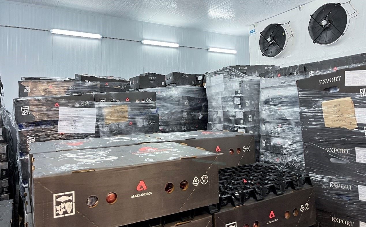 恒溫冷庫中，包裝好的牛肉等待發(fā)往中國。人民網(wǎng)記者 朱虹攝