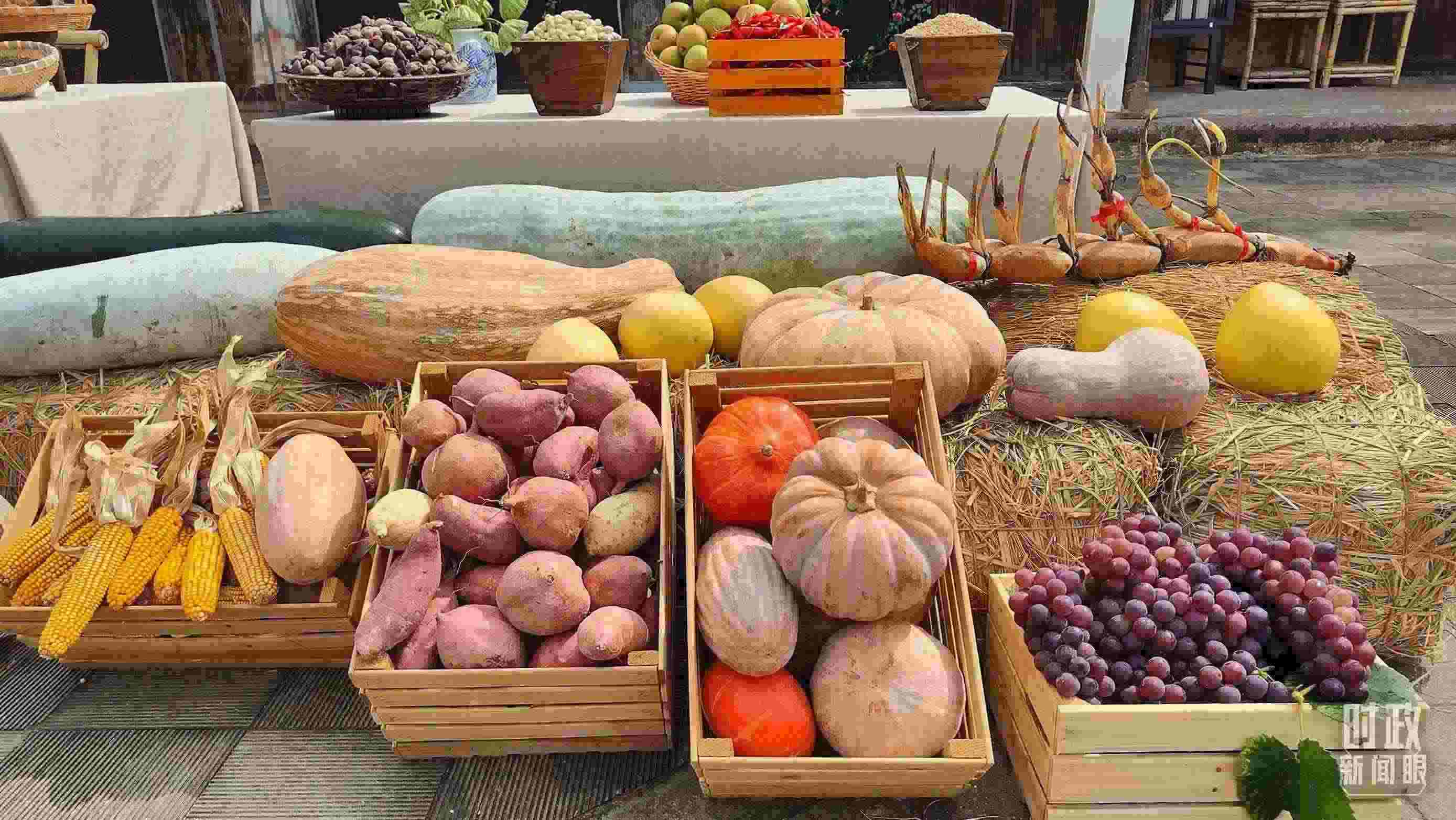 △村廣場(chǎng)“共富市集”，擺放著種類豐富的特色農(nóng)產(chǎn)品。（總臺(tái)央視記者楊立峰拍攝）