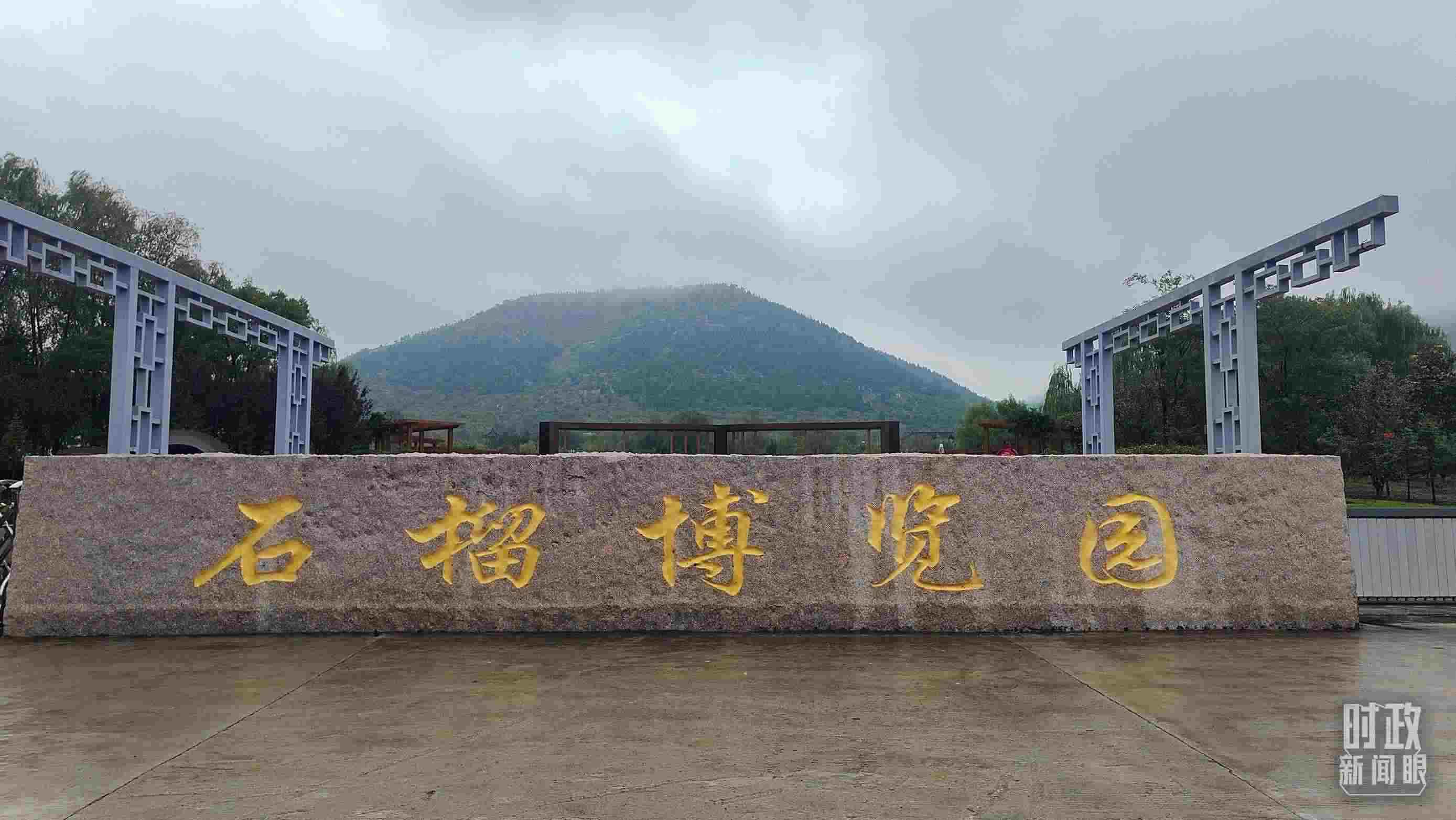 △石榴種質(zhì)資源庫位于石榴博覽園內(nèi)。（總臺央視記者楊立峰拍攝）