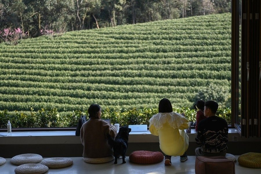 游客在浙江省安吉縣黃杜村萬畝茶園邊的咖啡館休閑（2023年2月21日攝）。