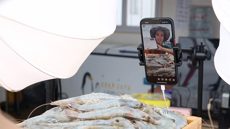 江蘇連云港，村民進(jìn)行直播銷售。范堯攝