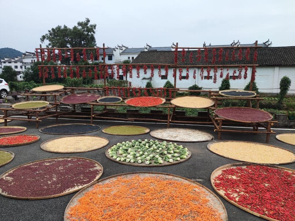 近日，江西省上饒市婺源縣秋口鎮(zhèn)王村村民晾曬的農(nóng)作物。新華社記者 劉佳敏 攝