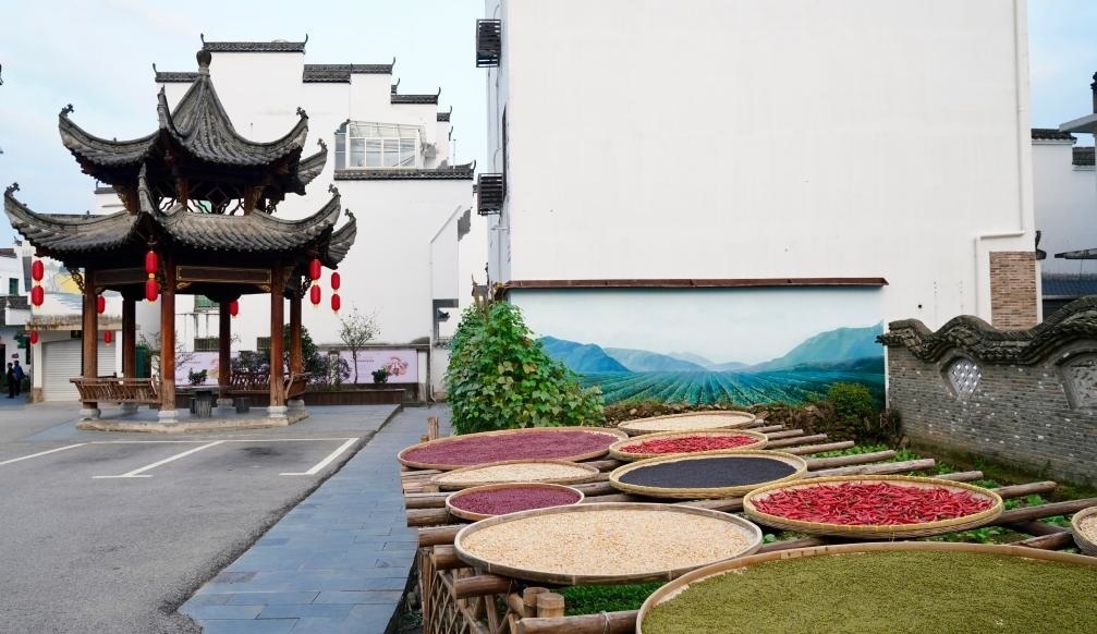 近日拍攝的江西省上饒市婺源縣秋口鎮(zhèn)王村石門自然村曬秋場景。新華社記者 胡晨歡 攝