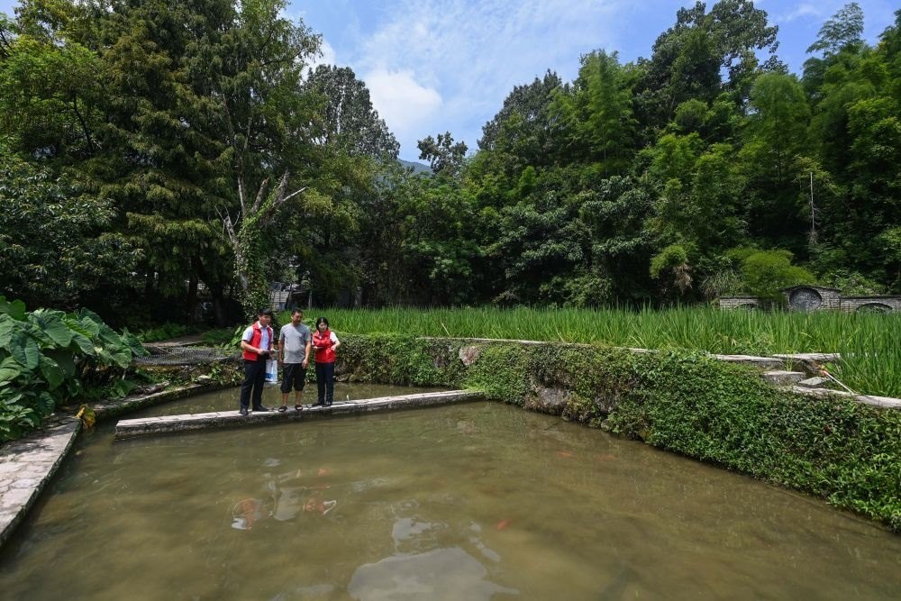 2023年8月17日，浙江省麗水市青田縣方山鄉(xiāng)田魚養(yǎng)殖戶吳勇強(qiáng)（中）在接受青田農(nóng)商銀行“小蜻蜓”服務(wù)隊志愿者提供的“惠民易貸”上門服務(wù)。近年來，青田縣金融發(fā)展中心聯(lián)合各個金融機(jī)構(gòu)優(yōu)化配套鄉(xiāng)村振興金融服務(wù)，推出“惠民易貸”“農(nóng)家樂貸”等金融產(chǎn)品，重點(diǎn)支持涉農(nóng)龍頭企業(yè)及特色種養(yǎng)殖產(chǎn)業(yè)。新華社記者 徐昱 攝