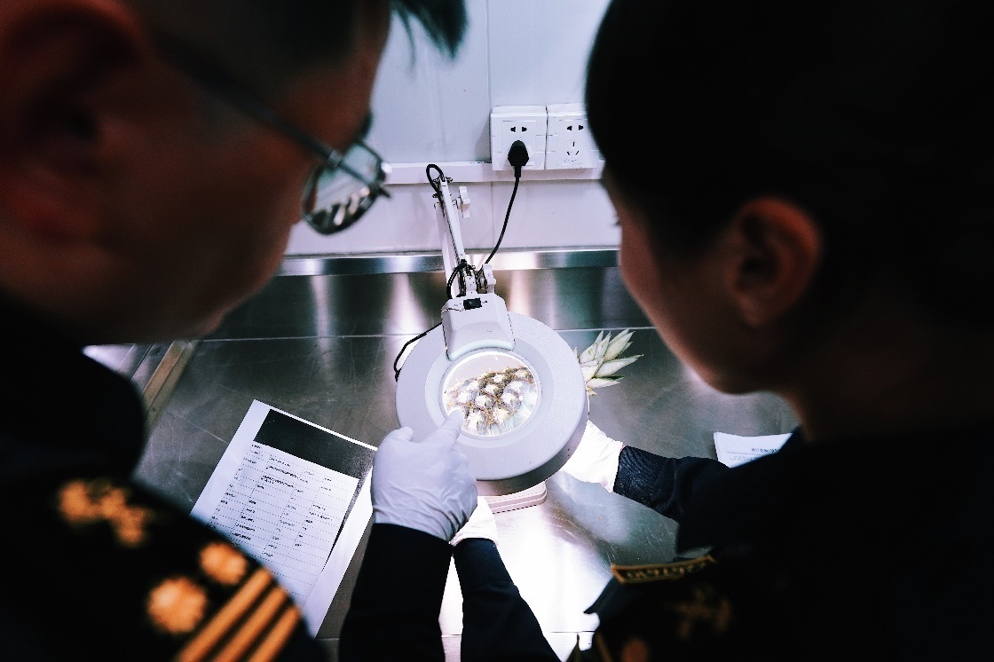 上海海關(guān)關(guān)員針對(duì)檢疫性有害生物和農(nóng)藥殘留進(jìn)行檢疫檢驗(yàn)。陳興洲攝