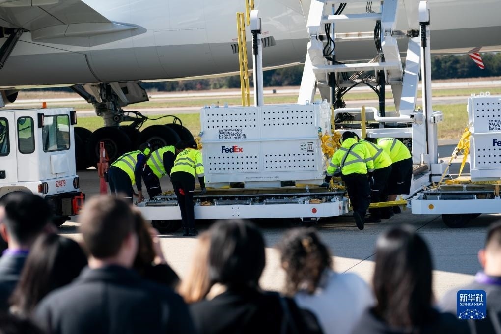 11月8日，在美國弗吉尼亞州的華盛頓杜勒斯國際機場，裝有大熊貓的特制“旅行包廂”準備運上專機。新華社記者劉杰攝