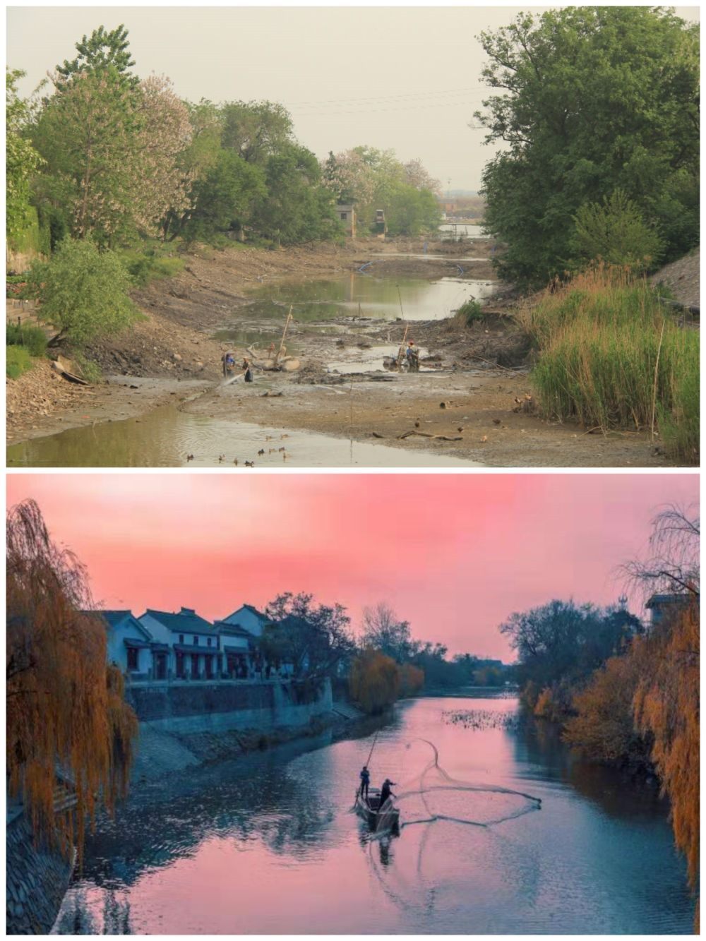 江蘇省揚(yáng)州市江都區(qū)明清運(yùn)河故道整治前后。（上圖：2012年；下圖：2020年）（孫友定 攝）